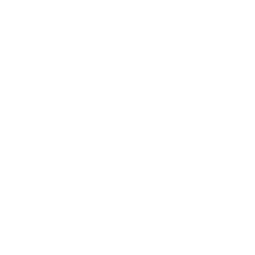 Globe – White Icon
