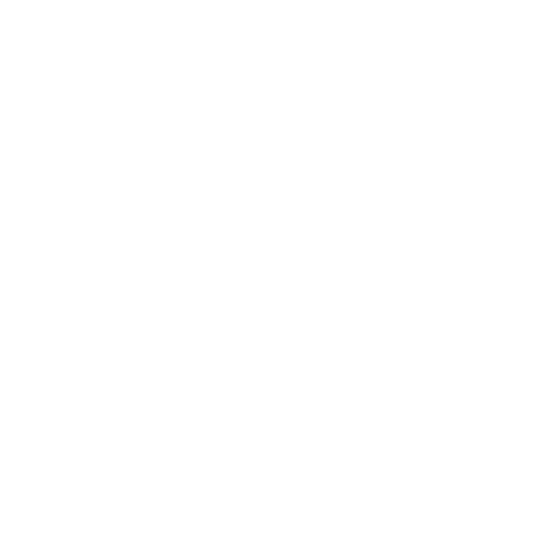 Globe - White Icon